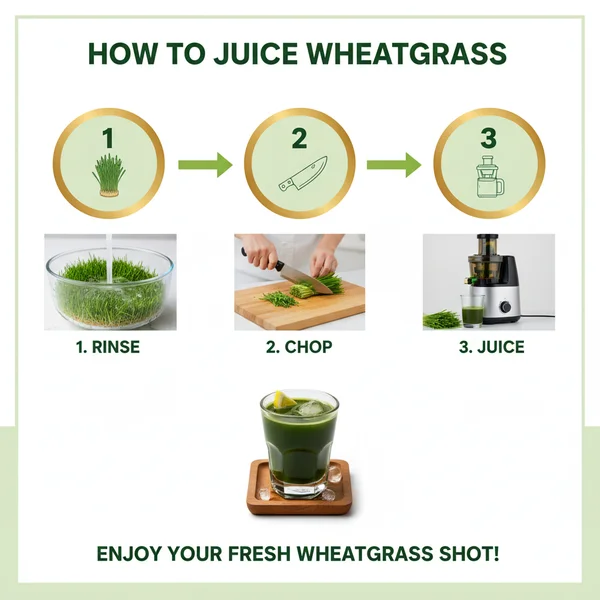 how to juice wheatgrass - delicious homemade recipe photo