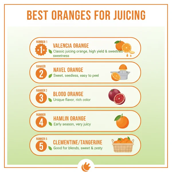 best oranges for juicing - delicious homemade recipe photo